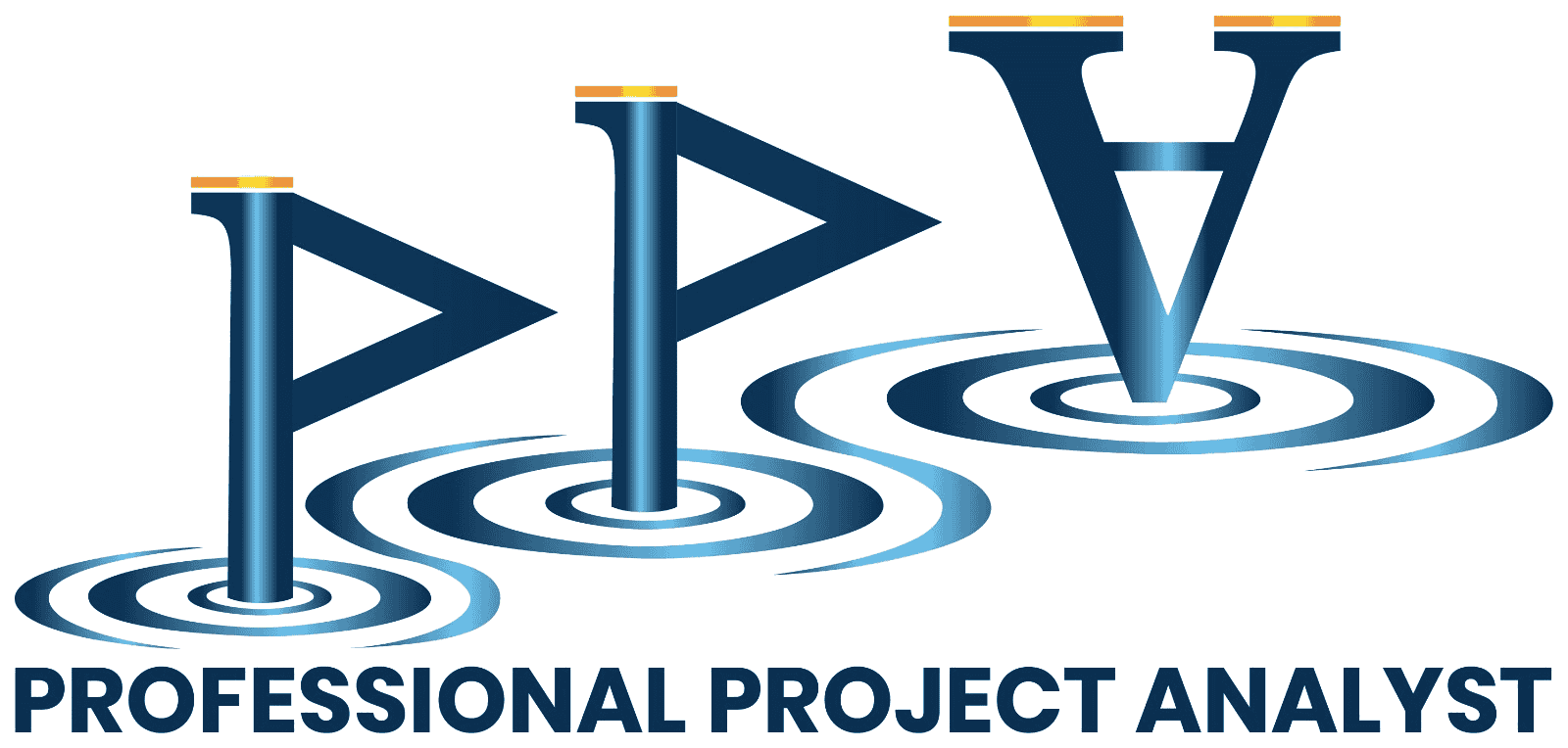 PPA Professional Project Analyst logo